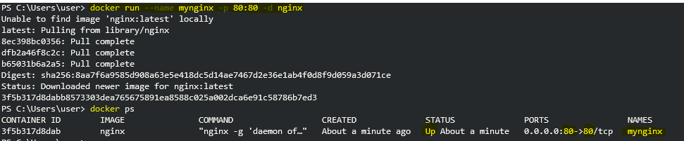 Docker run nginx